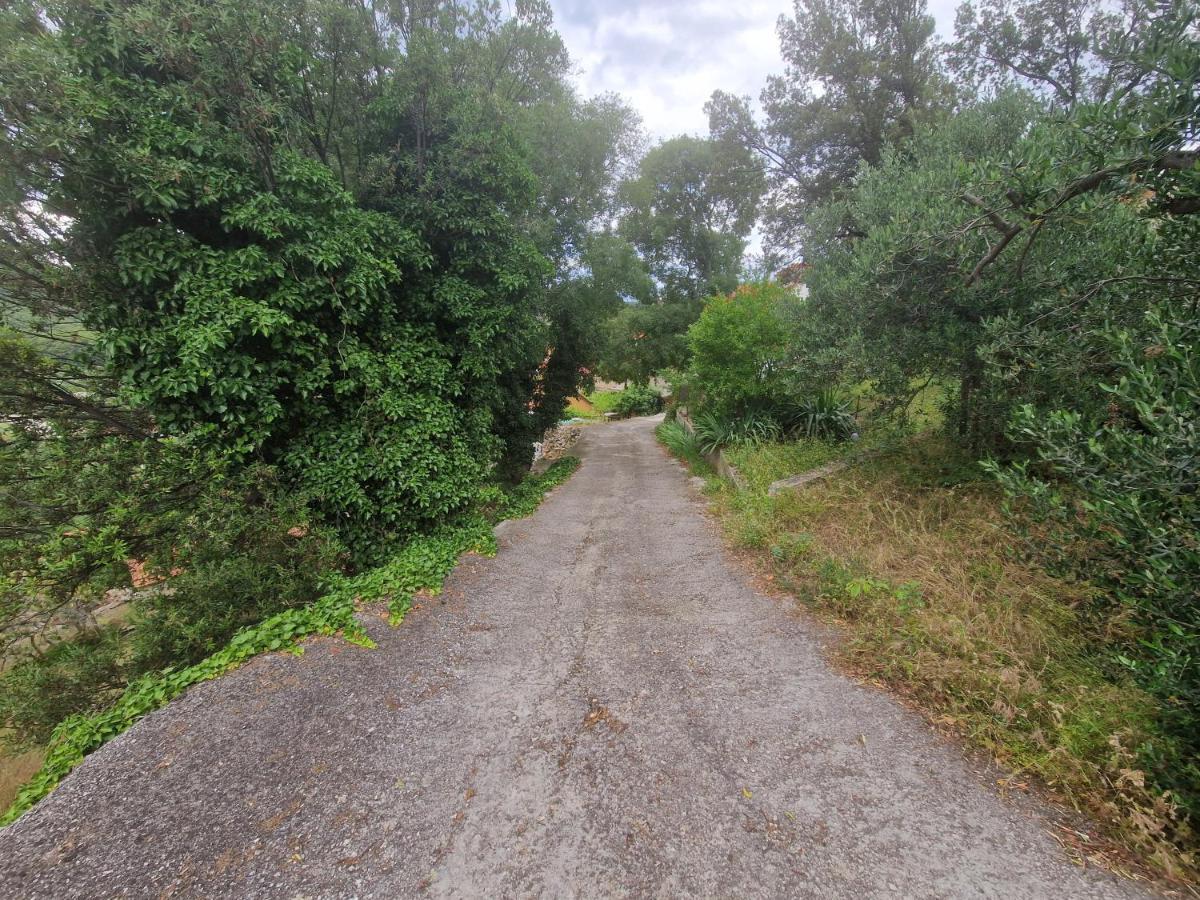 Kuca Za Odmor Dobrila Otel Jelsa  Dış mekan fotoğraf