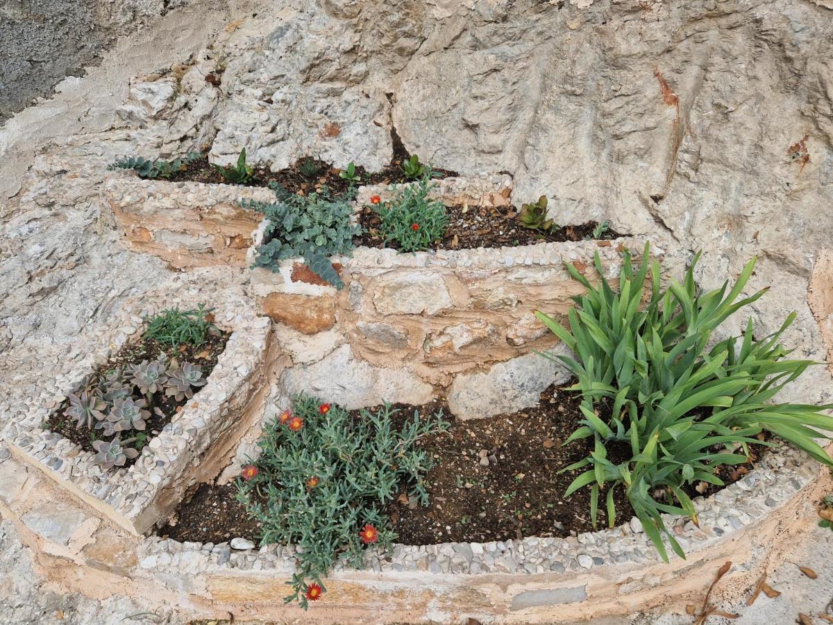 Kuca Za Odmor Dobrila Otel Jelsa  Dış mekan fotoğraf