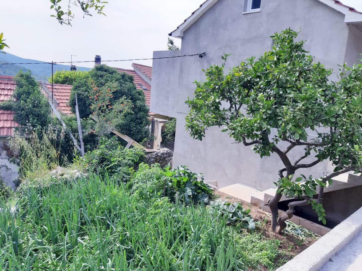 Kuca Za Odmor Dobrila Otel Jelsa  Dış mekan fotoğraf