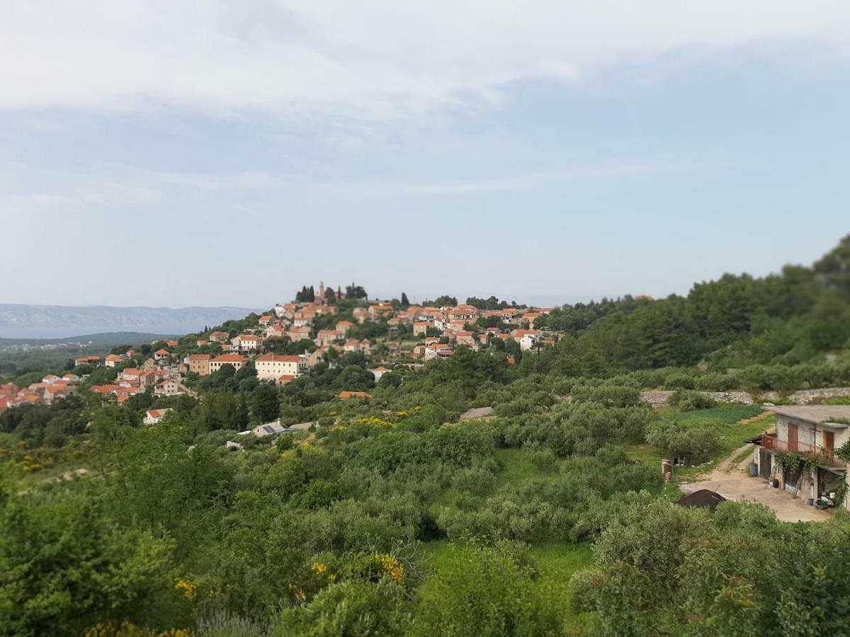 Kuca Za Odmor Dobrila Otel Jelsa  Dış mekan fotoğraf