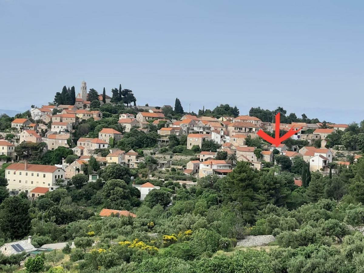 Kuca Za Odmor Dobrila Otel Jelsa  Dış mekan fotoğraf
