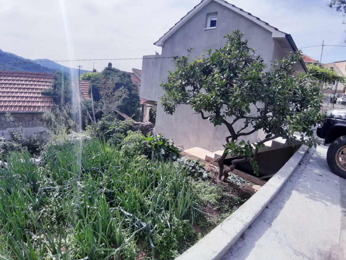 Kuca Za Odmor Dobrila Otel Jelsa  Dış mekan fotoğraf