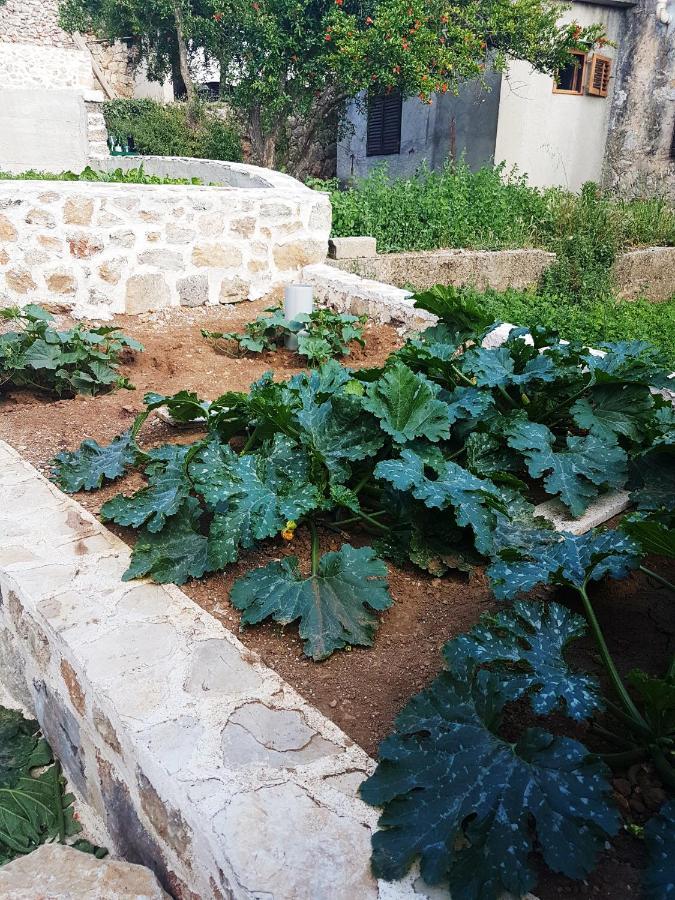 Kuca Za Odmor Dobrila Otel Jelsa  Dış mekan fotoğraf