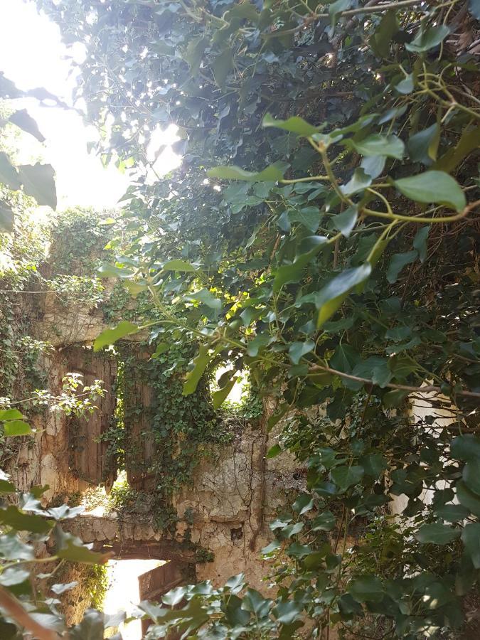 Kuca Za Odmor Dobrila Otel Jelsa  Dış mekan fotoğraf